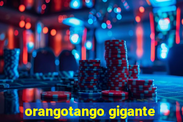 orangotango gigante